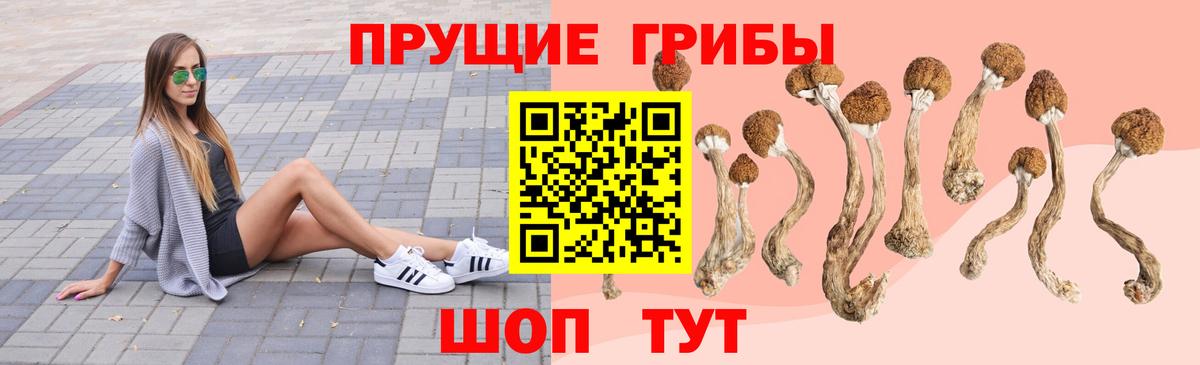 Аксай  Псилоцибиновые грибы мицелий  Вход с VPN 